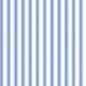Blue/White Stripe