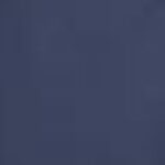 Navy/Navy