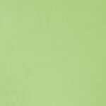 Neon Lime
