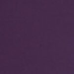 Purple w/ Pearl Stripe