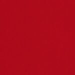 Red w/ Black Stripe