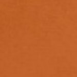 Texas Orange