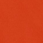 Autumn Orange