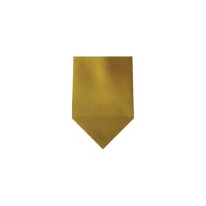 Satin Solid Gold Pre-Tied Tie