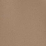 Silver Tan
