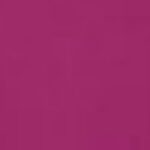 Future Fuchsia