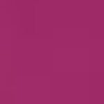 Future Fuchsia