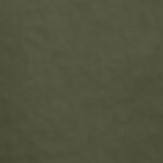 Olive Drab Green