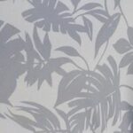 Silver Palm