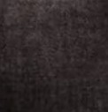 Black Cat Denim