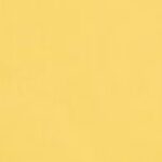 Egg Canvas