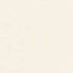 Ivory Canvas