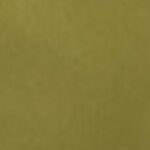 Moss Green Canvas