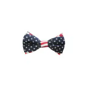 4.5" Patriotic Tie