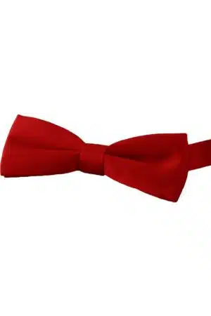 Edwards Satin Bow Tie
